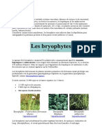 Bryophytes 1