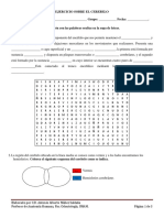 Ejercicio de Cerebelo