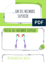 Álbum Miembro Superior