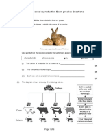 13.3 Exam Questions