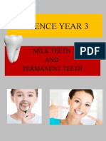 Teeth Science Year 3 (Milk and Permanent) Activity