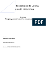 Resumen Riesgos y Accidentes, Industrias Alimentarias