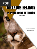 Grandes Felinos en Peligro de Extincion