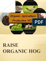 Raise Organic Hogs