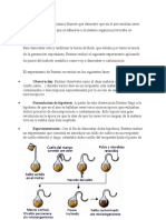 Método Cientifico Louis Pasteur