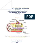 Guia 4 Contraccion Muscular 2021-1