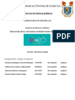 Reporte de Extraccion de La Curcuma (Corregido)