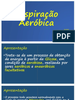 Respiração Aeróbica