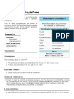 Phytophthora Citrophthora