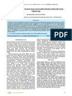 Karakter Morfologi Dan Anatomi Pisang Diploid Dan Triploid: A S, A P K