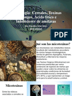 Expo de Toxicología (Micotoxinas)