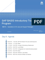 SAP BASIS Introductory Training Program Day 6