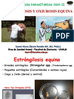 Presentación Teoría Estrongilosis Oxiurosis Equina y Ancilostomiasis 2020 II