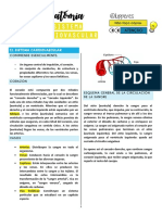 Resumen - Sistema Cardiovascular