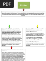 Mapa Conceptual Mecanismos Receptores