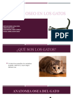 Sistema Oseo en Los Gatos 2