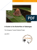 A Guide To The Butterflies of Sabangau Outrop Final - 3 August