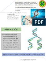 Replicacón, Transcripción, Traducción