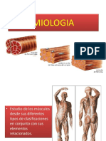 Miologia - Diapositivas