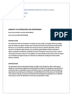 Hongos y Su Interacción Con Artrópodos