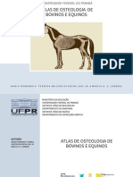 (VERSÃO DIGITAL) Atlas de Osteologia