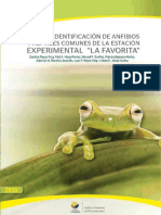 L Identificacion de Anfibios y Reptiles La Favorita-1