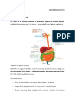 Area II TP N°8 Sistema Digestivo