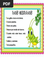 Texto Informativo Los Grillos