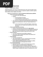 Chapter 5 Integumentary Study Guide