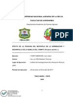 Informe Practicas Preprofesionales Javier Turpo MendozaR