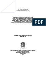 Informe Ejecutivo Sistemas de Información Logística