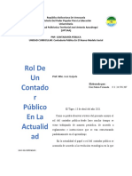 Ensayo Rol Del Contador Publico