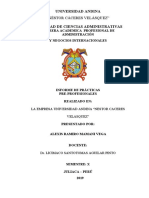 Informe de Practica Uancv Alexis Vega