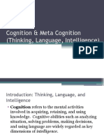 Cognition and Meta Cognition