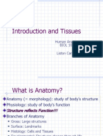 1 - Intro and Histo Grays