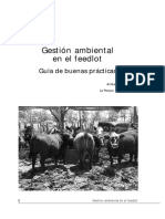 Feedlot-Argentina