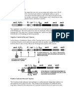 Coli. Arabinose Must First Be Converted Into Ribulose-5-Phosphate Before It Can Be