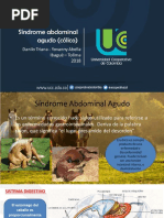 Sindrome Abdominal Agudo PDF