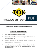 Trabajo en Techumbre