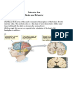 Introduction To Brain and Behavior