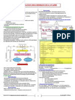 Exploration Biochimique Et Dynamique de L'ovaire Et Testicule Word