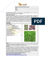 Aproscello Ficha PDF 30