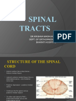 Spinal Tracts: DR - Krishna Madhukar Dept. of Orthopaedics Bharati Hospital