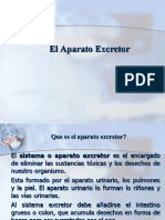 Aparato Excretor!