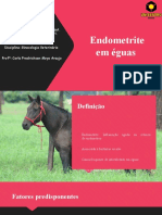 Endometrite em Éguas