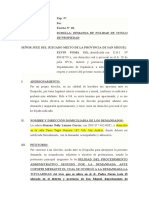 Demanda de Nulidad de Acto Juridico-Pedro Novoa