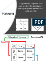 Genética Leyes de Mendel