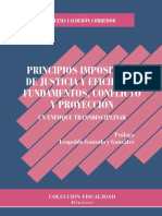 Principios Impositivos de Justicia y Eficiencia Fundamentos, Con - Nodrm