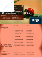 Práctica N°3 Principales Predadores y Parasitoides