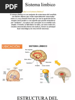 Sistema Límbico